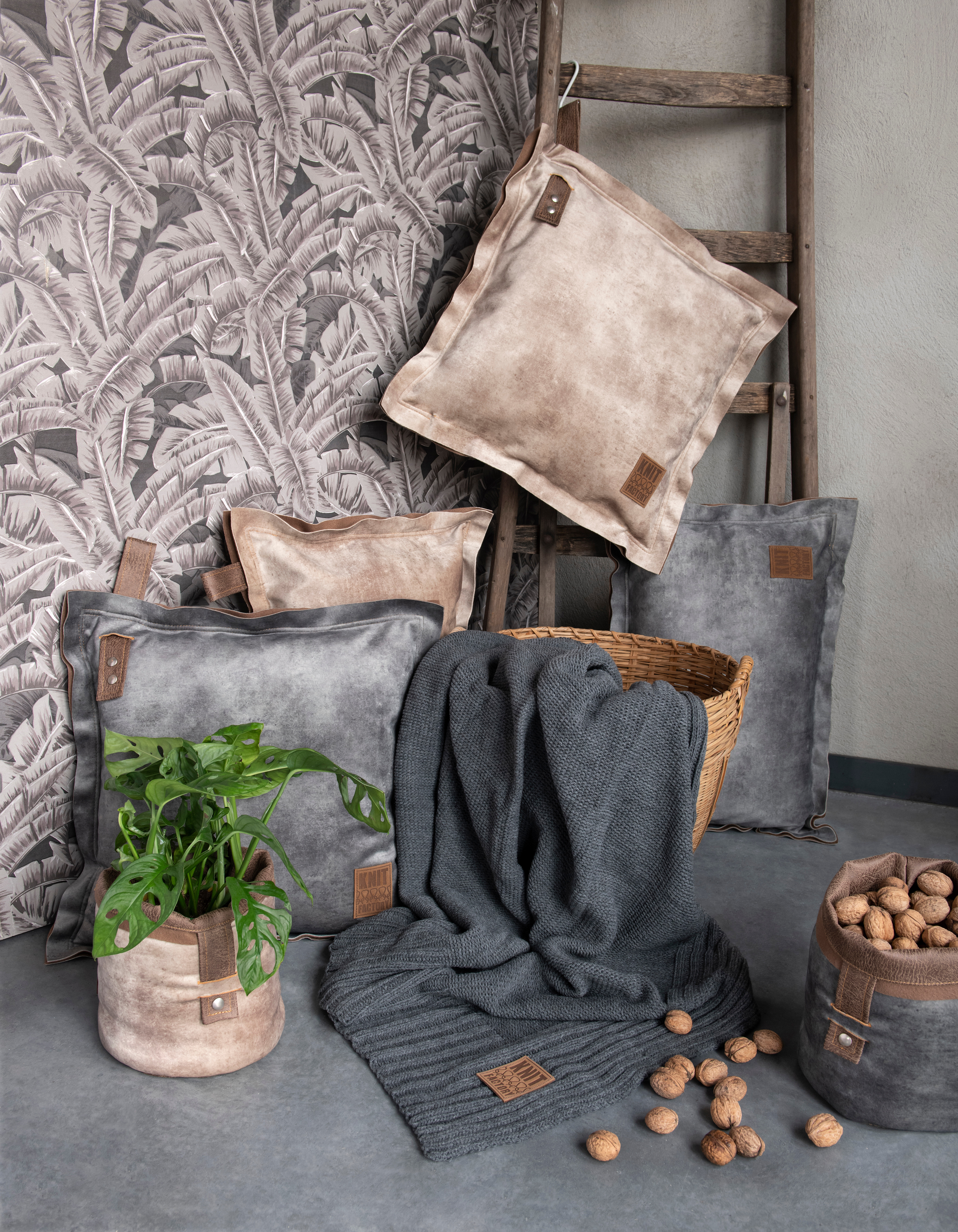 Dax Cushion Anthracite - 50x50