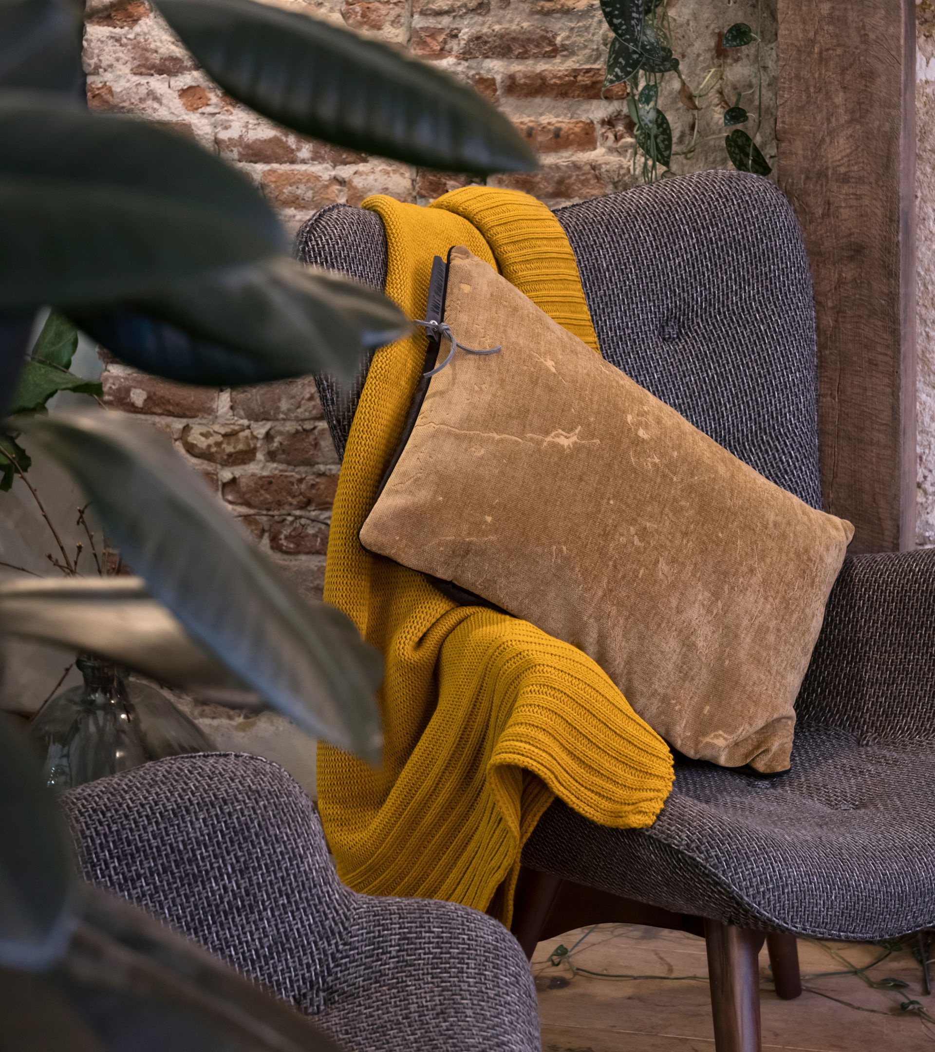 James Kussen Taupe - 60x40