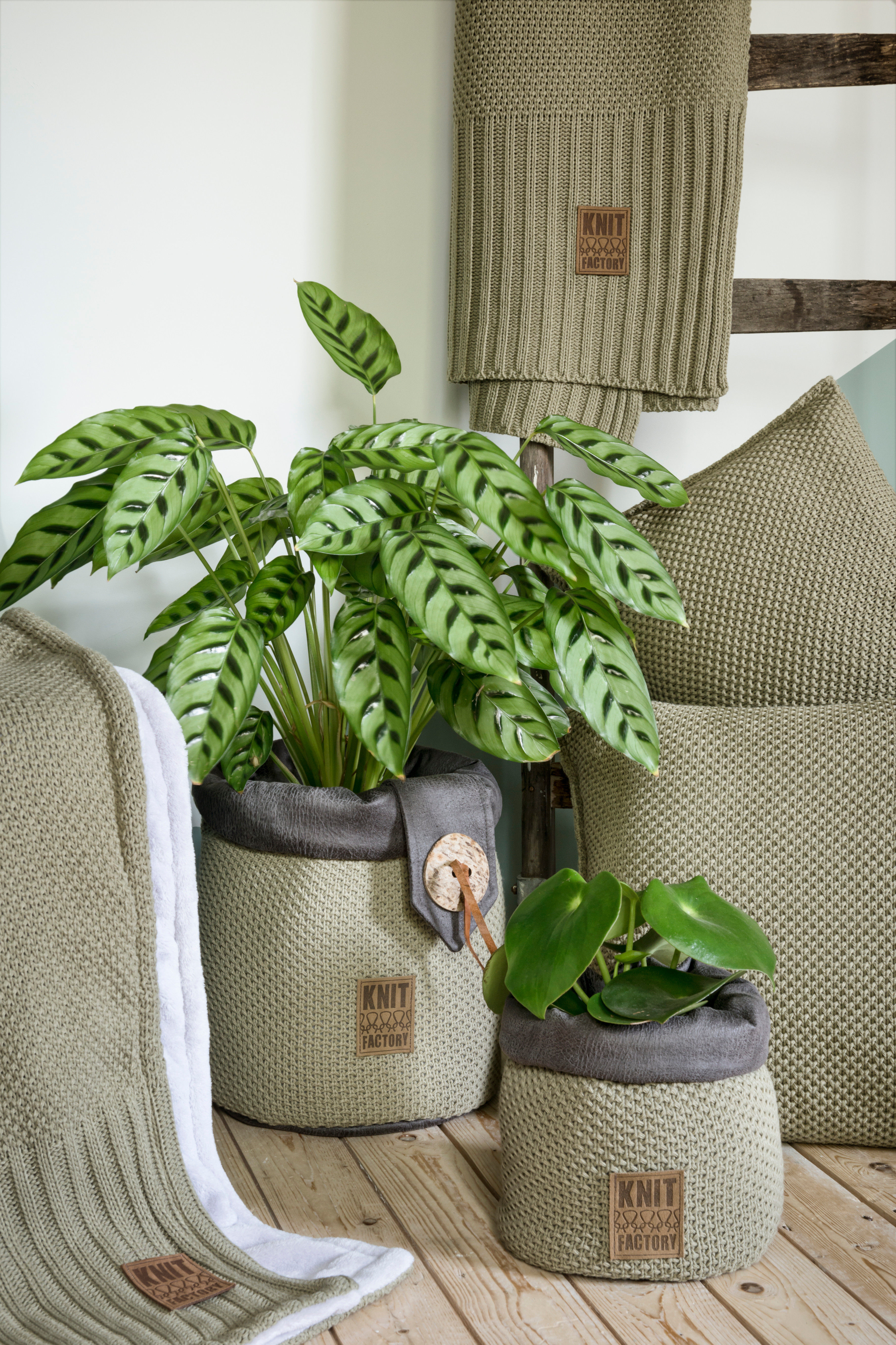 Lynn Plaid Teddy Anthracite