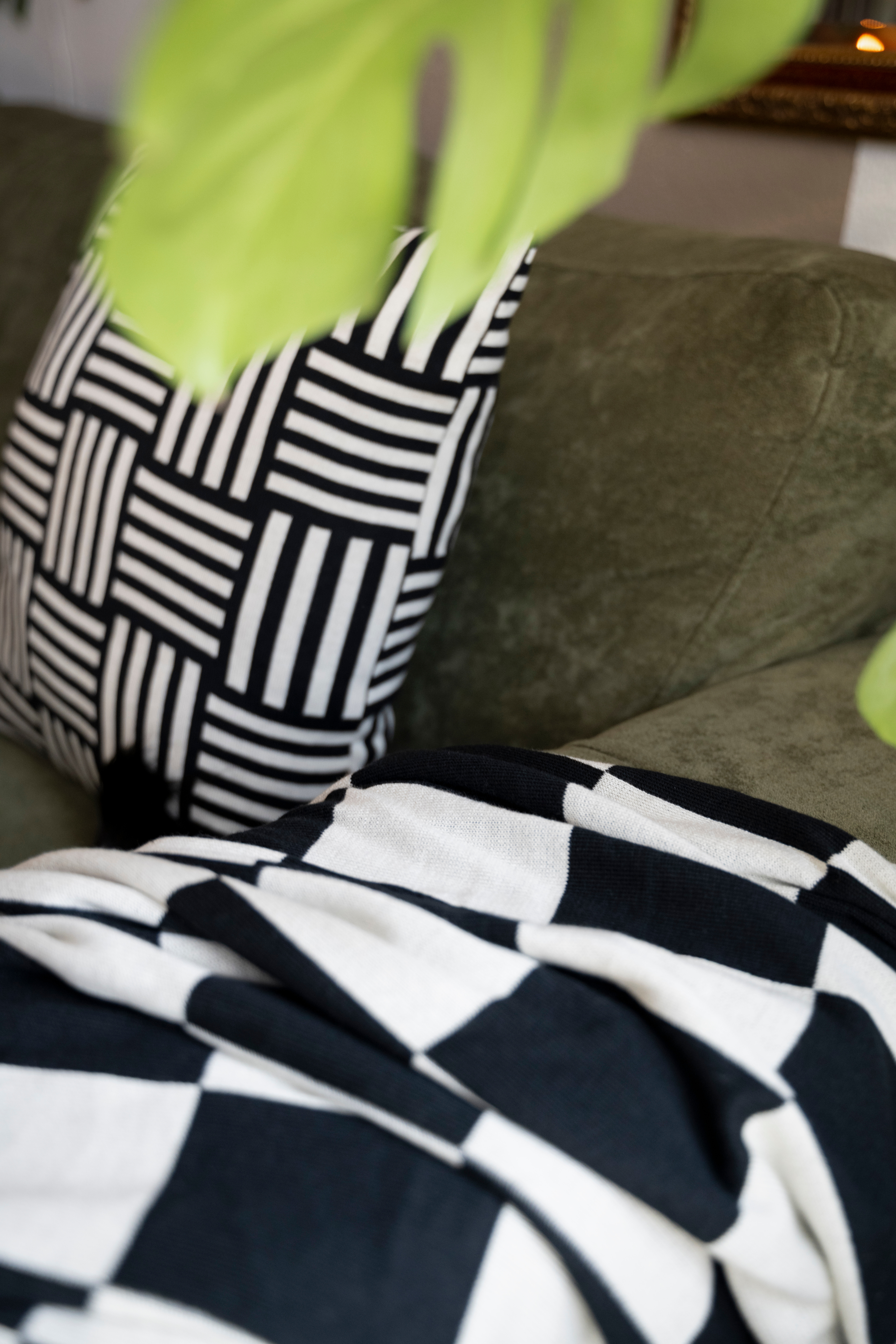 Caro Plaid Ecru/Urban Green