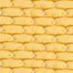 Ecru/Gold