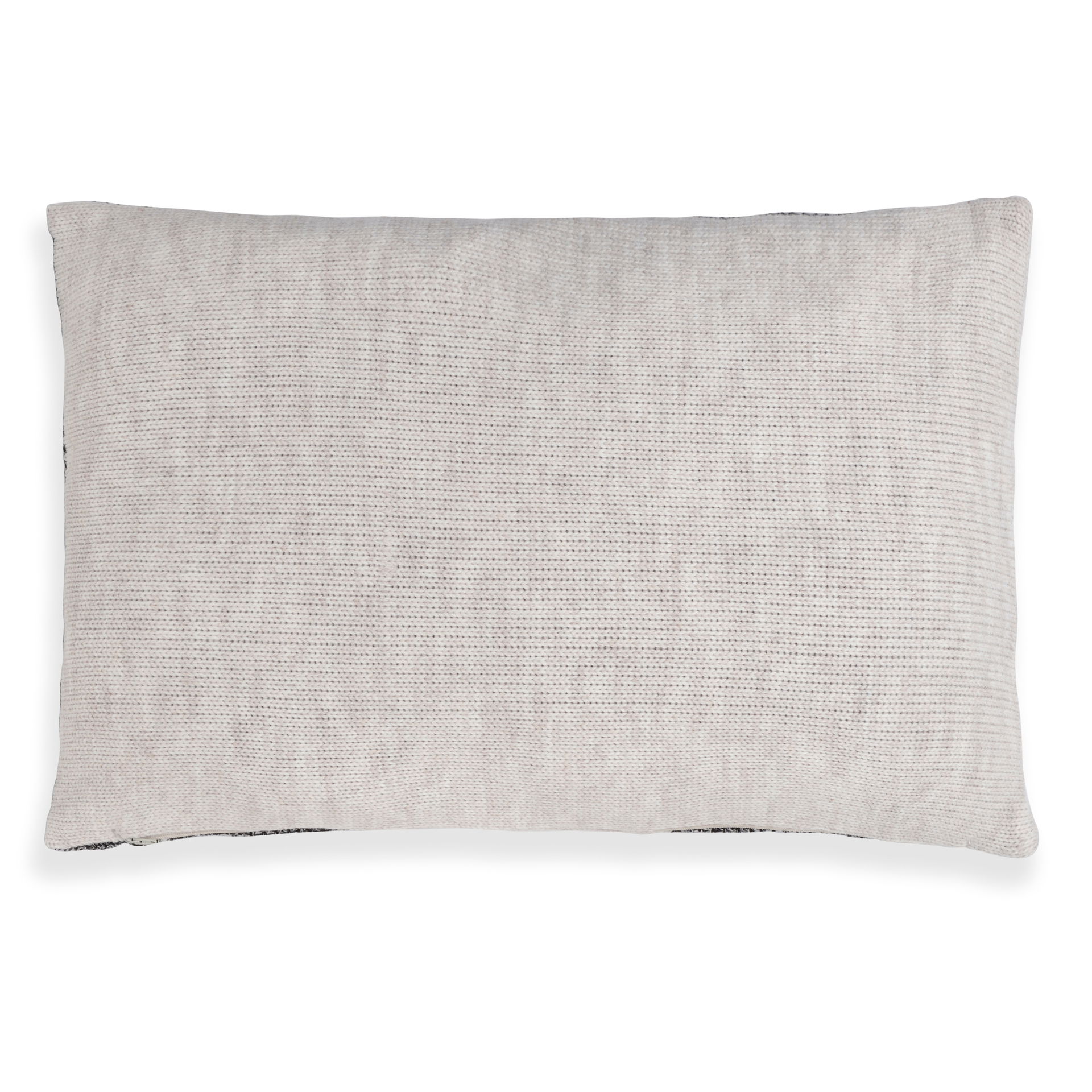 Roxx Kussen Beige/Zwart - 60x40