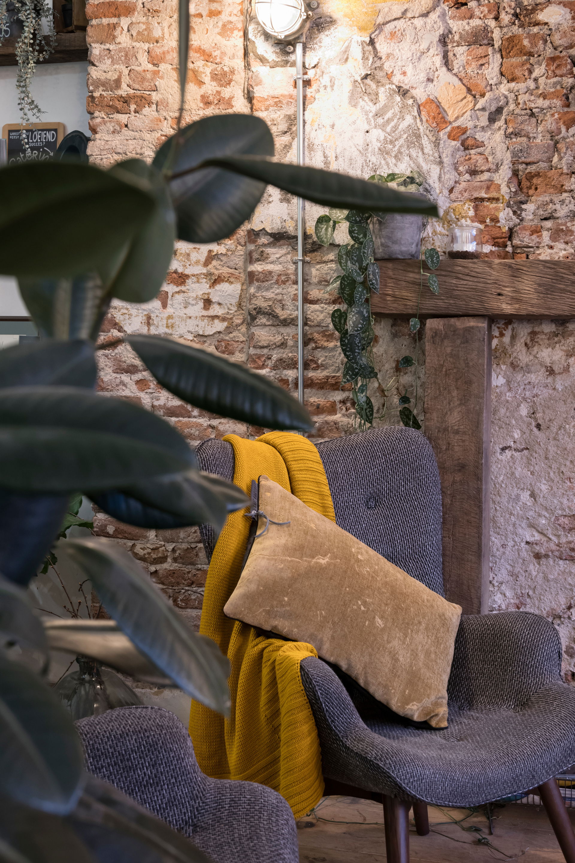 James Kissen New Camel - 60x40