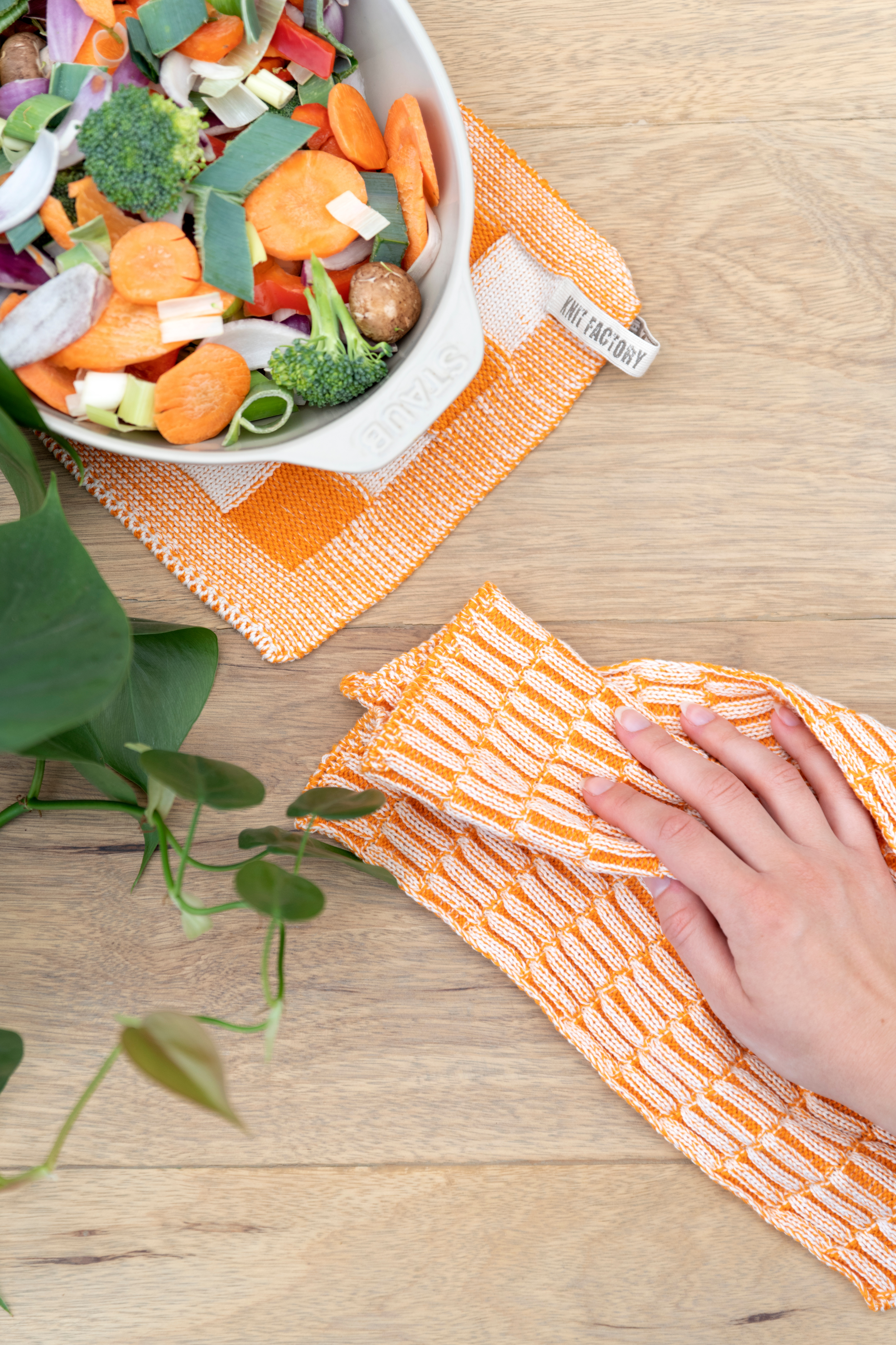 Dishcloth Block Ecru/Apricot