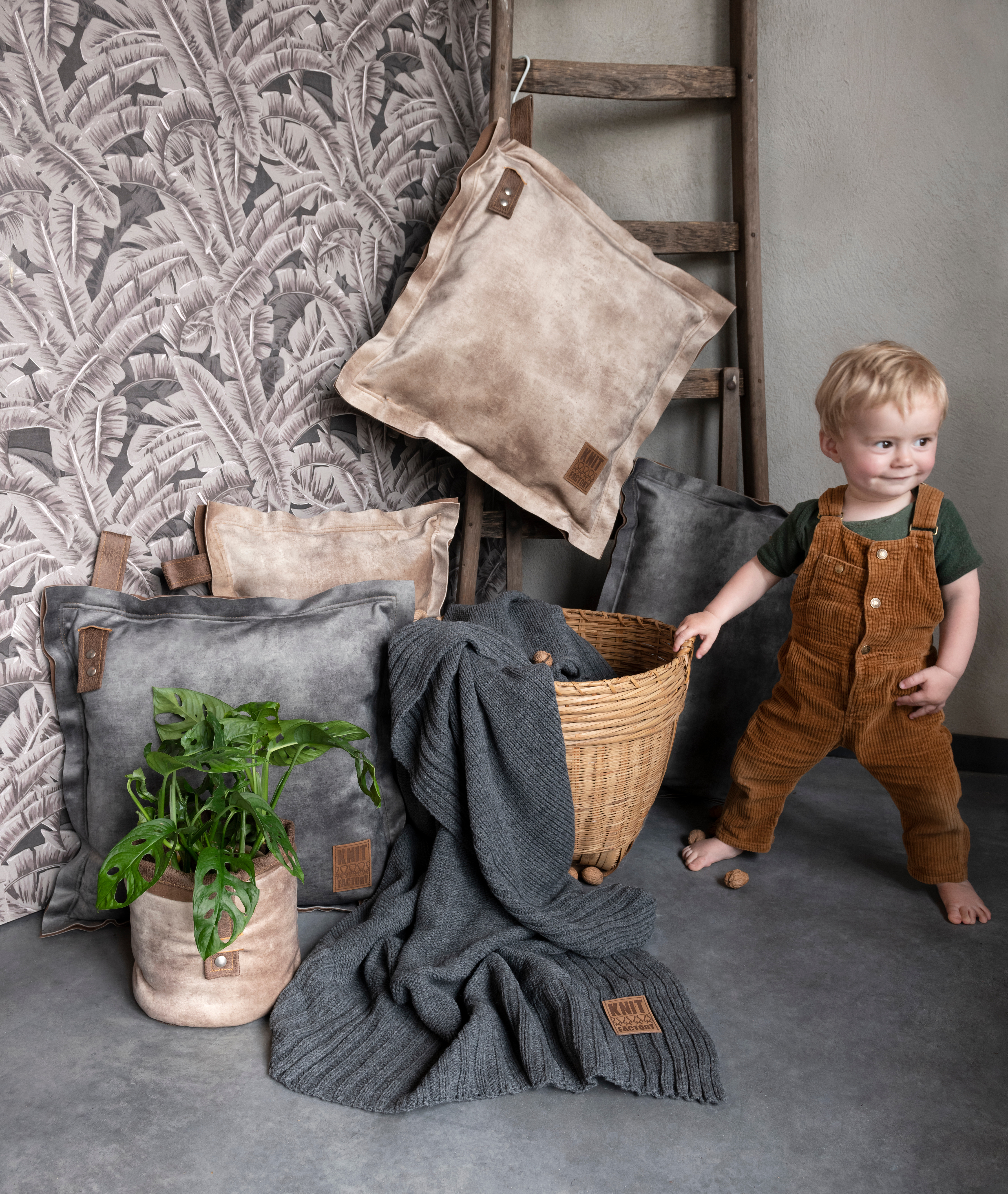 Dax Cushion Anthracite - 60x40