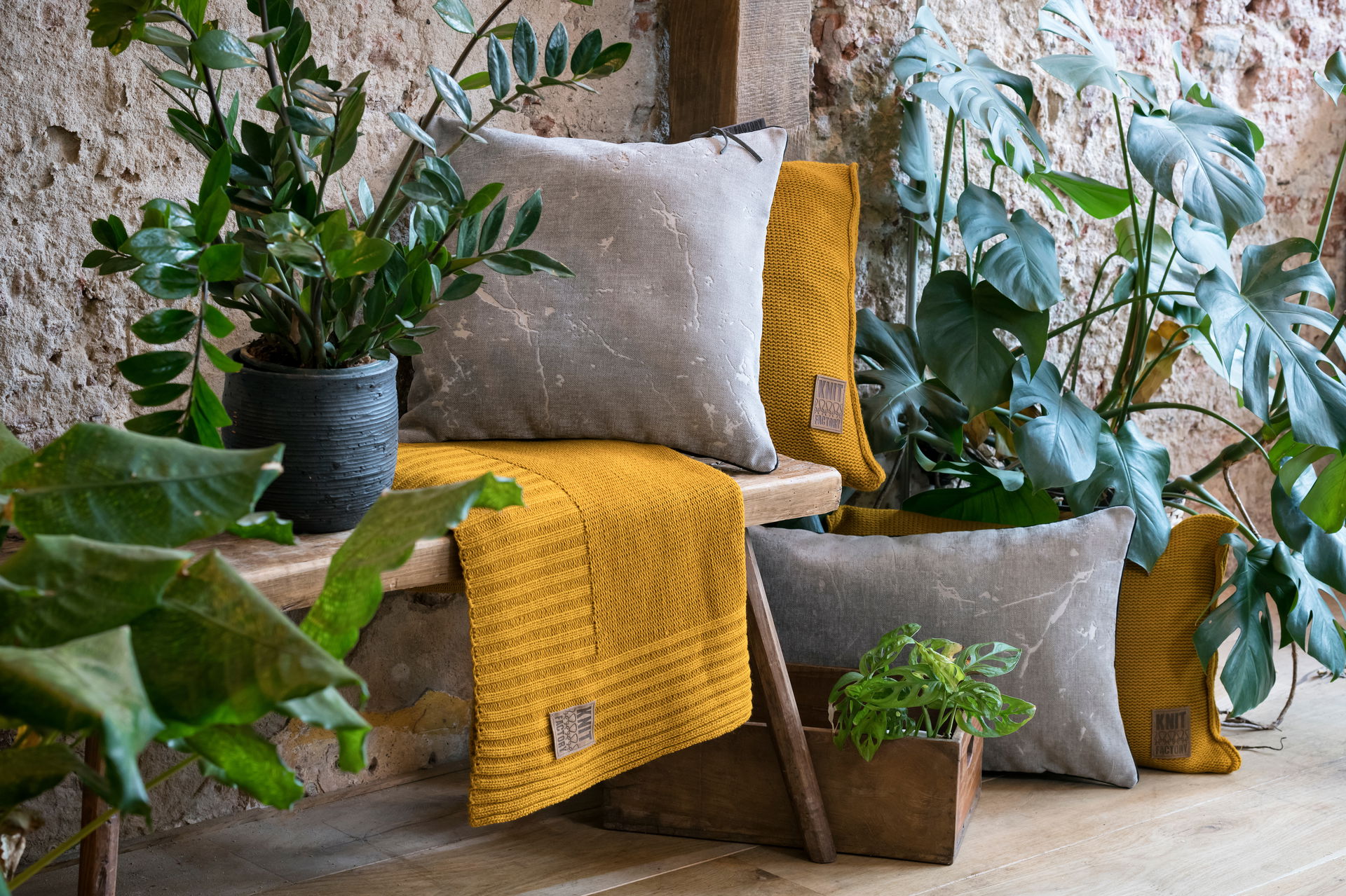 James Kissen New Camel - 60x40