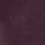 Aubergine