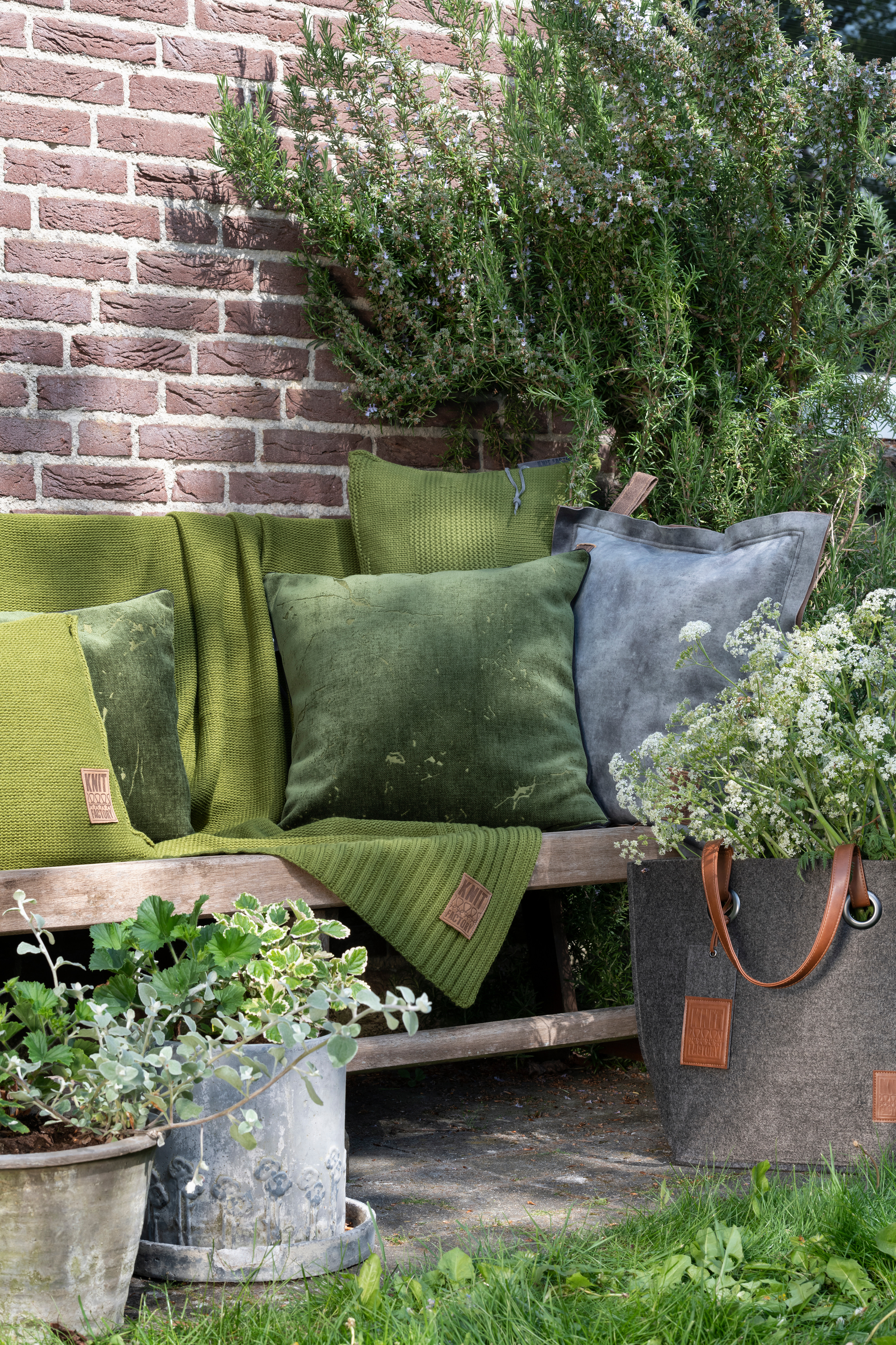 Dax Cushion Anthracite - 50x50