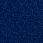 Kings Blue