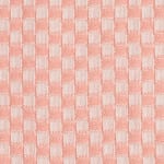 Ecru/Apricot
