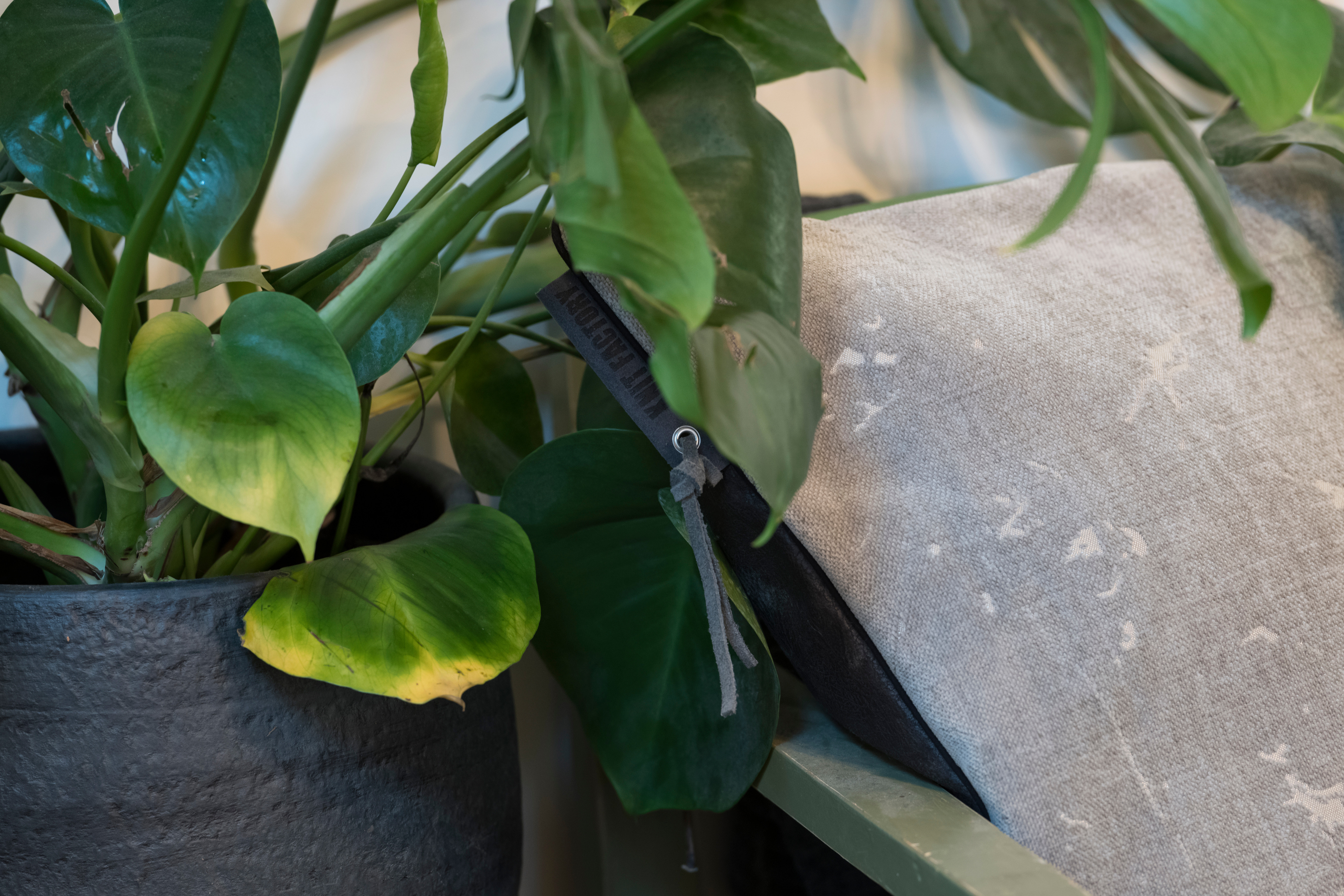 James Cushion Light Grey - 50x50